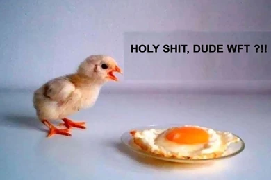 Funny Easter Wallpapers   Crazy Frankenstein