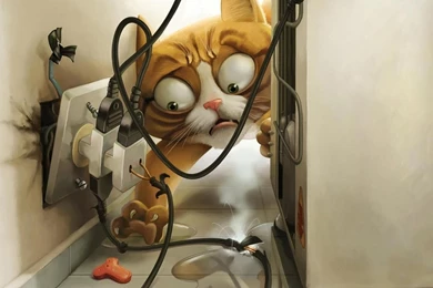 Crazy Desktop Backgrounds   Wallpapers Cave