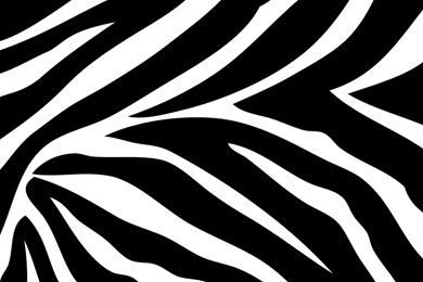 Wallpapers By Topics > Look And Design > Animal Print   Wallpapers ...