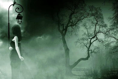 Dark Forest Landscape 4 HD Wallpapers