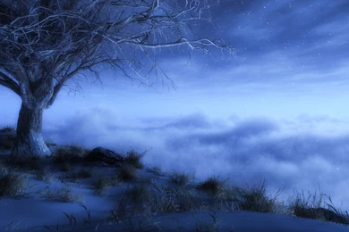Winter Night Snowy High Definition Wallpapers 3998   HD Wallpapers ...