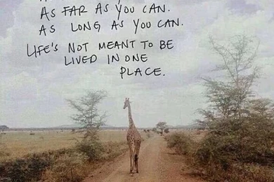 Inspirational Quotes, Animated Ocean Waves, Animated Waterfalls ...