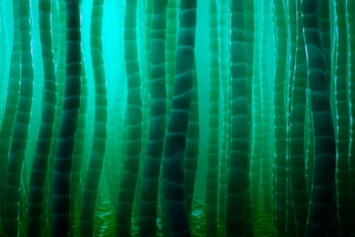 DROID ULTRA Wallpapers Now Available For Download