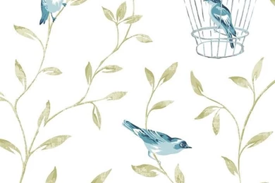 Birds & Cages Wallpapers By Graham And Brown   50 516