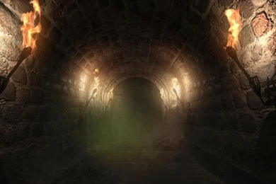 Dungeons & Newbie DM's