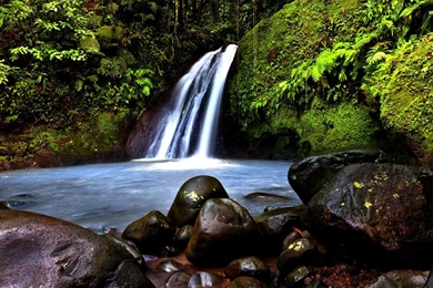 Waterfall In The Green Summer Forest Wallpapers