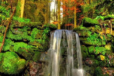 Small Waterfall In The Summer Forest Wallpapers