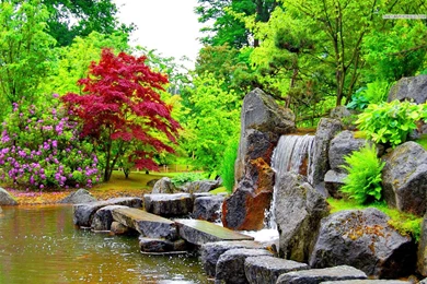 Beautiful Park In The Summer Wallpapers