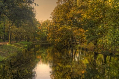 Green River In The Summer Forest Wallpapers