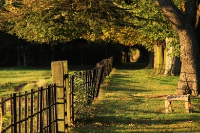 Summer Forest Path Wide Wallpapers   DreamLoveWallpapers