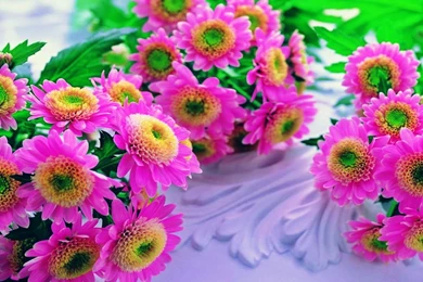 Pink Flowers Beautiful HD Wallpaper.jpg