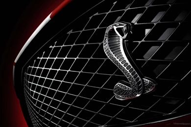 Shelby Cobra GT500 Mustang 8 Facebook Covers