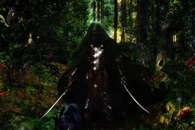 Drizzt Do Urden And Guenhwyvar By Zaratra On DeviantArt