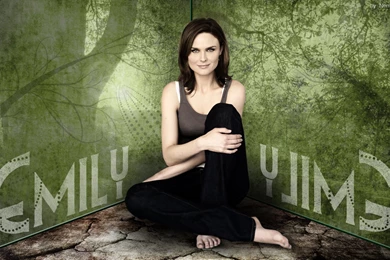 Emily Deschanel Wallpapers By Ngrubor On DeviantArt