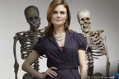 Jack Falahee Wallpapers   IMGson