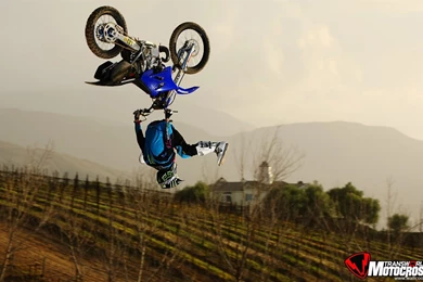 Jestingstock.com Fmx Wallpapers
