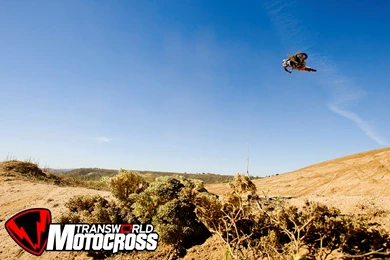 Weekly Wallpapers FMX At Fitzland