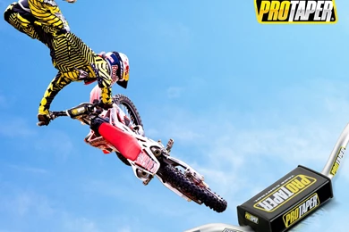 Wallpapers Skull Candy Coury Protaper 1024x768