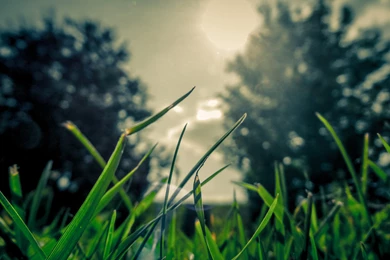 Cute Wallpapers For Iphone 56