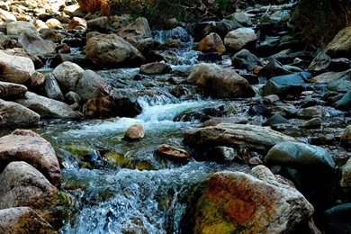 Nature Wallpapers Set 19