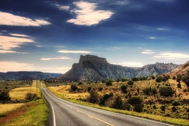 Plants, Green, Fresh, Sky, Samsung Nature Wallpapers, Widescreen ...