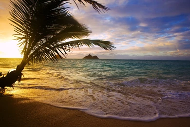 Amazing Nature Wallpapers, Widescreen Images, Amazing Views, Free ...