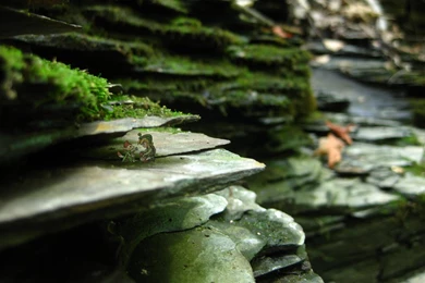 Legend Of Zelda Minish Cap Fanart!   Raptr