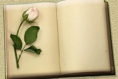 Flowers And Vintage Blank Books Download PowerPoint Backgrounds ...