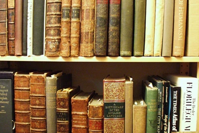 Download Texture: Books On Shell, Download Background, Books On A ...