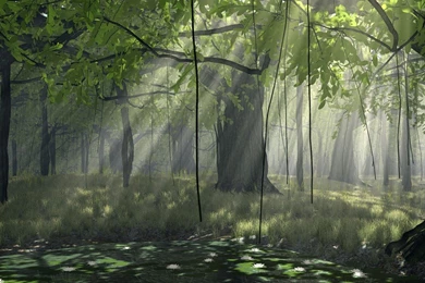 Digital Three dimensional Design Wallpapers (4)