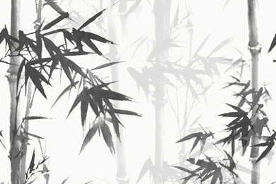 Wallpapers With A Pattern Of Bamboo Design Wallpapers   Buy Bamboo ...