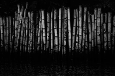 Index Of /images/backgrounds