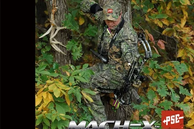 Wallpapers Bowhunting 1024x768