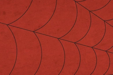 Spiderman Simple Face iPhone 5 Wallpapers