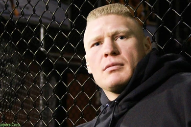 Brock Lesnar WWE HD Wallpapers