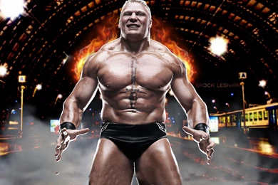 Brock Lesnar WWE 2015 Wallpapers 1024x768   Wallpapers Cave