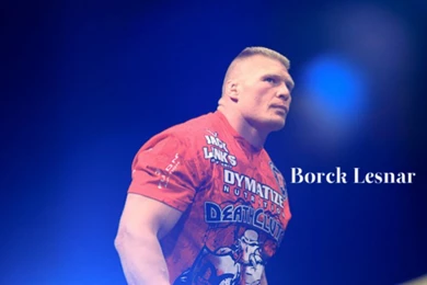 Brock Lesnar WWE Wrestler HD Desktop Wallpapers
