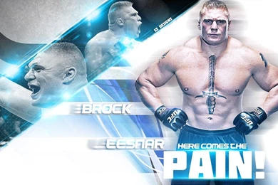 Hd Wallpapers Of Brock Lesnar Wrestling Inn