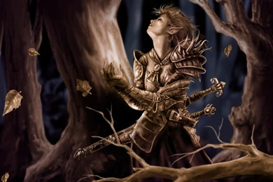 310 Elf HD Wallpapers