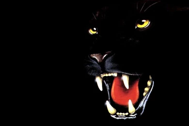 The Greatest Wallpapers