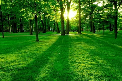 Best Graphics Wallpaper: For Desktop, 626614, Graphics