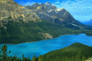 Nature hd wallpapers live wallpaper for mac 1024x768.jpg