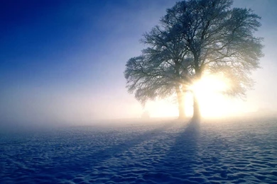 Live Paint Mac Wallpapers Download