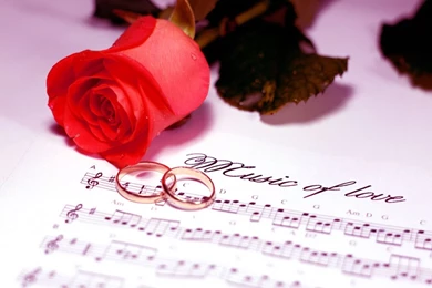 Romantic Rose Wallpapers   Crazy Frankenstein