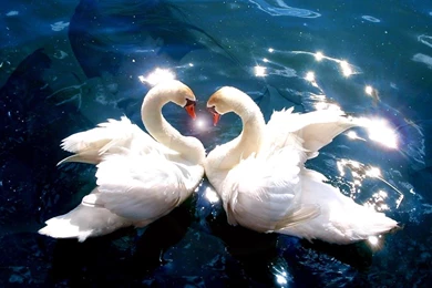 Romantic Love Wallpapers