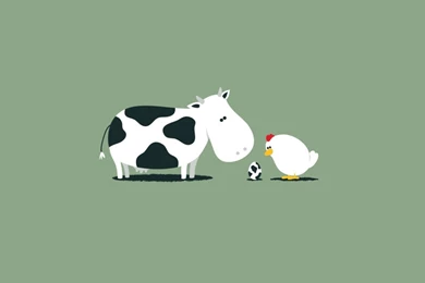 Funny Cow Egg HD Desktop Wallpapers : Widescreen : High Definition ...