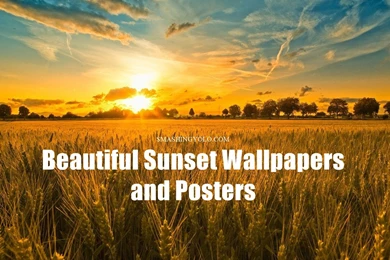 70 Beautiful Sunset Wallpapers And Posters For Free