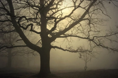 High Quality Images, Landscape, Cool Backgrounds, Windows ...