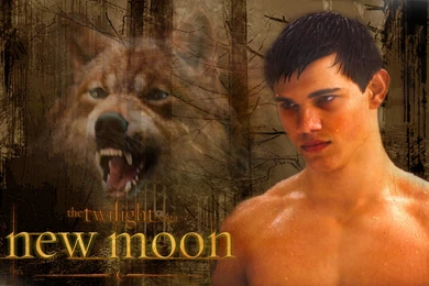 Jacob Blac New Moon   Jacob Black Wallpapers (7270404)   Fanpop