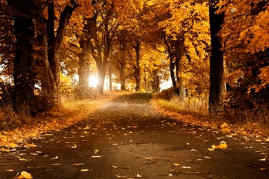 Nature Wallpapers Desktop